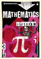 Introducing Mathematics di Ziauddin Sardar, Jerry Ravetz edito da Icon Books Ltd