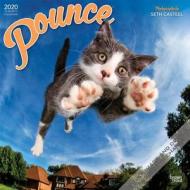 Pounce 2020 Square Wall Calendar di Inc Browntrout Publishers edito da Brown Trout