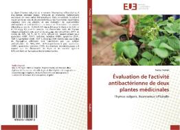 Évaluation de l'activité antibactérienne de deux plantes médicinales di Nadia Zeghad edito da Editions universitaires europeennes EUE