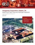 Hoeganaes Corporation: Gallatin, TN Metal Dust Flash Fires and Hydrogen Explosion di U. S. Chemical Safe Investigation Board edito da Createspace