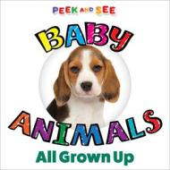 Peek And See Baby Animals All Grown Up di Editors of Happy Fox Books edito da Fox Chapel Publishing