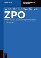 Zivilprozessordnung und Nebengesetze Band 13. KapMuG, MediationsG, EGZPO, GVG, EGGVG edito da Gruyter, Walter de GmbH