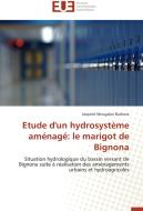 Etude d'un hydrosystème aménagé: le marigot de Bignona di Léopold Mougabie Badiane edito da Editions universitaires europeennes EUE