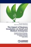 The Impact of Business Incubation on Small and Medium Enterprises di Mulugeta Agaze Dessie, Willem Petrus Jansen Van Rensburg edito da LAP Lambert Academic Publishing