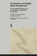 Privatization and Supply Chain Management di Andrew Cox edito da Routledge