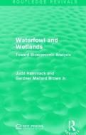 Waterfowl and Wetlands di Judd Hammack, Gardner Mallard Brown edito da Taylor & Francis Ltd