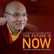 The Future Is Now: Timely Advice for Creating a Better World di Ogyen Trinley Dorje edito da HAY HOUSE