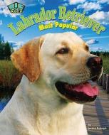 Labrador Retriever: Most Popular di Jessica Rudolph edito da BEARPORT PUB CO INC