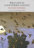 Wild Life in a Southern County di Richard Jefferies edito da Little Toller Books