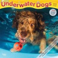 Underwater Dogs 2020 Square Wall Calendar di Inc Browntrout Publishers edito da Brown Trout