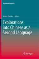 Explorations into Chinese as a Second Language edito da Springer International Publishing