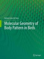 Molecular Geometry of Body Pattern in Birds di Antonio Lima-de-Faria edito da Springer-Verlag GmbH