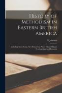 History of Methodism in Eastern British America: Including Nova Scotia, New Brunswick, Prince Edward Island, Newfoundland and Bermuda di D. Johnson edito da LEGARE STREET PR