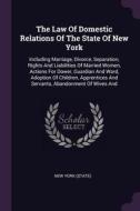 The Law of Domestic Relations of the State of New York: Including Marriage, Divorce, Separation, Rights and Liabilities  di New York (State) edito da CHIZINE PUBN