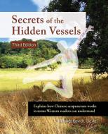 Secrets of the Hidden Vessels di Fletcher Kovich edito da CuriousPages Publishing