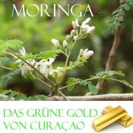 Das grüne Gold von Curacao di Elke Verheugen edito da Books on Demand