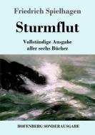 Sturmflut di Friedrich Spielhagen edito da Hofenberg