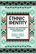 Ethnic Identity: Formation and Transmission Among Hispanics and Other Minorities edito da State University of New York Press