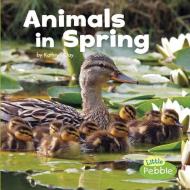 Animals in Spring di Kathryn Clay edito da CAPSTONE PR