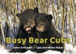 Busy Bear Cubs di John Schindel edito da Tricycle Press