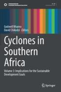 Cyclones In Southern Africa edito da Springer Nature Switzerland AG