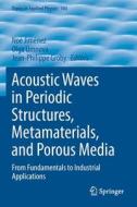 Acoustic Waves in Periodic Structures, Metamaterials, and Porous Media edito da Springer International Publishing