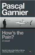 How's the Pain? di Pascal Garnier edito da Gallic Books
