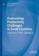 Overcoming Productivity Challenges in Small Countries di Wendel Ivey, Andre Haughton edito da Springer Nature Switzerland