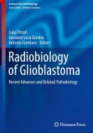 Radiobiology Of Glioblastoma edito da Springer International Publishing Ag