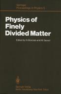 Physics of Finely Divided Matter edito da Springer Berlin Heidelberg