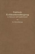 Praktische Kohlensäuredüngung in Gärtnerei und Landwirtschaft di Erich Reinau edito da Springer Berlin Heidelberg