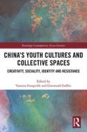 China's Youth Cultures and Collective Spaces edito da Taylor & Francis Ltd