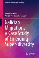 Galician Migrations: A Case Study of Emerging Super-diversity edito da Springer-Verlag GmbH