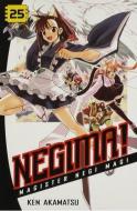 Negima! 25: Magister Negi Magi di Ken Akamatsu edito da KODANSHA COMICS