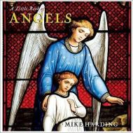 A Little Book of Angels di Mike Harding edito da AURUM PR