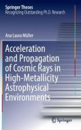 Acceleration and Propagation of Cosmic Rays in High-Metallicity Astrophysical Environments di Ana Laura Müller edito da Springer International Publishing