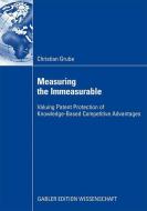 Measuring the Immeasurable di Christian Grube edito da Gabler Verlag