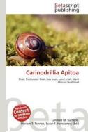 Carinodrillia Apitoa edito da Betascript Publishing