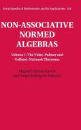 Non-Associative Normed Algebras di Miguel Cabrera García, Ángel Rodríguez Palacios edito da Cambridge University Press