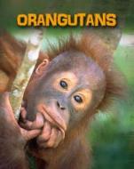 Orangutans di Buffy Silverman edito da Capstone Global Library Ltd