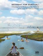 Sediment for Survival: A Strategy for the Resilience of Bay Wetlands in the Lower San Francisco Estuary di Scott Dusterhoff, Katie McKnight edito da LIGHTNING SOURCE INC