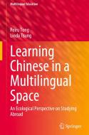 Learning Chinese in a Multilingual Space di Linda Tsung, Peiru Tong edito da Springer International Publishing
