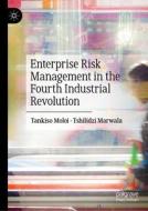 Enterprise Risk Management in the Fourth Industrial Revolution di Tankiso Moloi, Tshilidzi Marwala edito da PALGRAVE MACMILLAN LTD