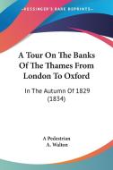 A Tour on the Banks of the Thames from London to Oxford: In the Autumn of 1829 (1834) di Pedestrian A. Pedestrian, A. Walton, A. Pedestrian edito da Kessinger Publishing