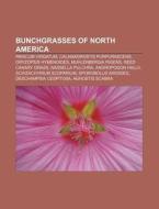 Bunchgrasses Of North America: Panicum V di Source Wikipedia edito da Books LLC, Wiki Series