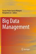 Big Data Management edito da Springer International Publishing Ag