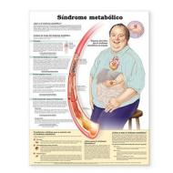 Metabolic Syndrome Anatomical Chart In Spanish (sindrome Metabolico) edito da Lippincott Williams And Wilkins
