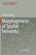Morphogenesis Of Spatial Networks di Marc Barthelemy edito da Springer International Publishing Ag
