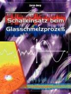 Schalleinsatz Beim Glasschmelzprozess di Sania Berg edito da Books On Demand