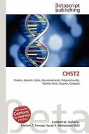 Chst2 edito da Betascript Publishing